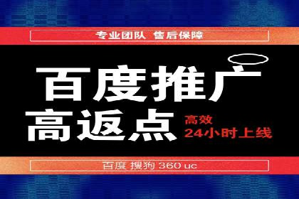 百度竞价代运营成功案例解析